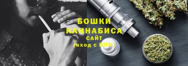 стаф Володарск