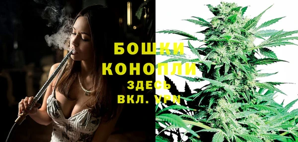 стаф Володарск