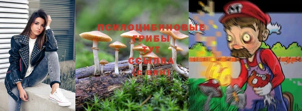 стаф Володарск